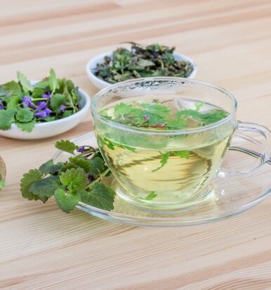 From Plants to Wellness: Exploring the World of Herbal Extracts