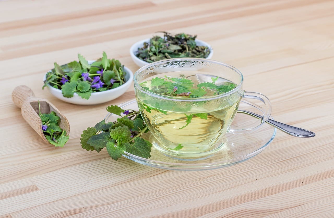 From Plants to Wellness: Exploring the World of Herbal Extracts