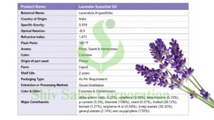 Best Lavender Oil Manufacturer & Exporter in India 1 Lavender oil
