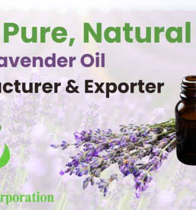 Best  Lavender Oil Manufacturer & Exporter in India