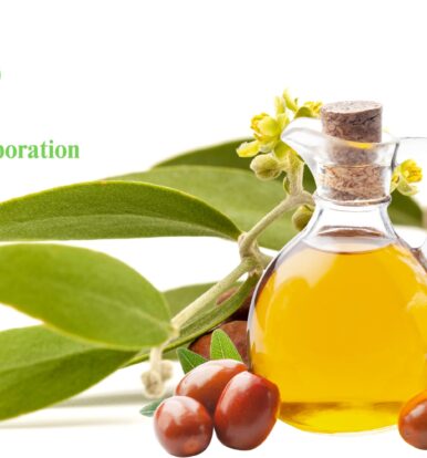 Best Jojoba Oil Manufacturer in India