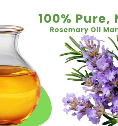 Rosemary Oil Manufacturer in INDIA