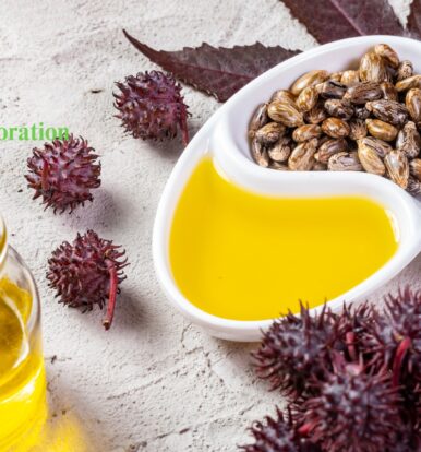 Best Castor Oil Manufacturer in India