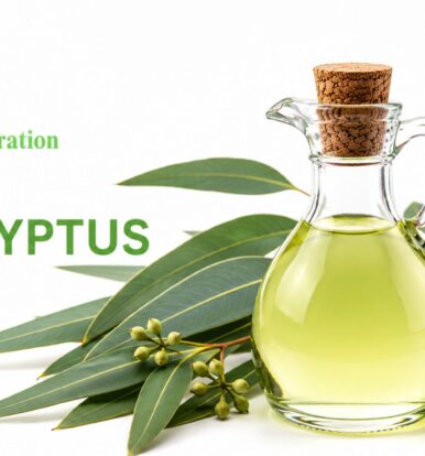 Best Peppermint Oil Manufacturer in India