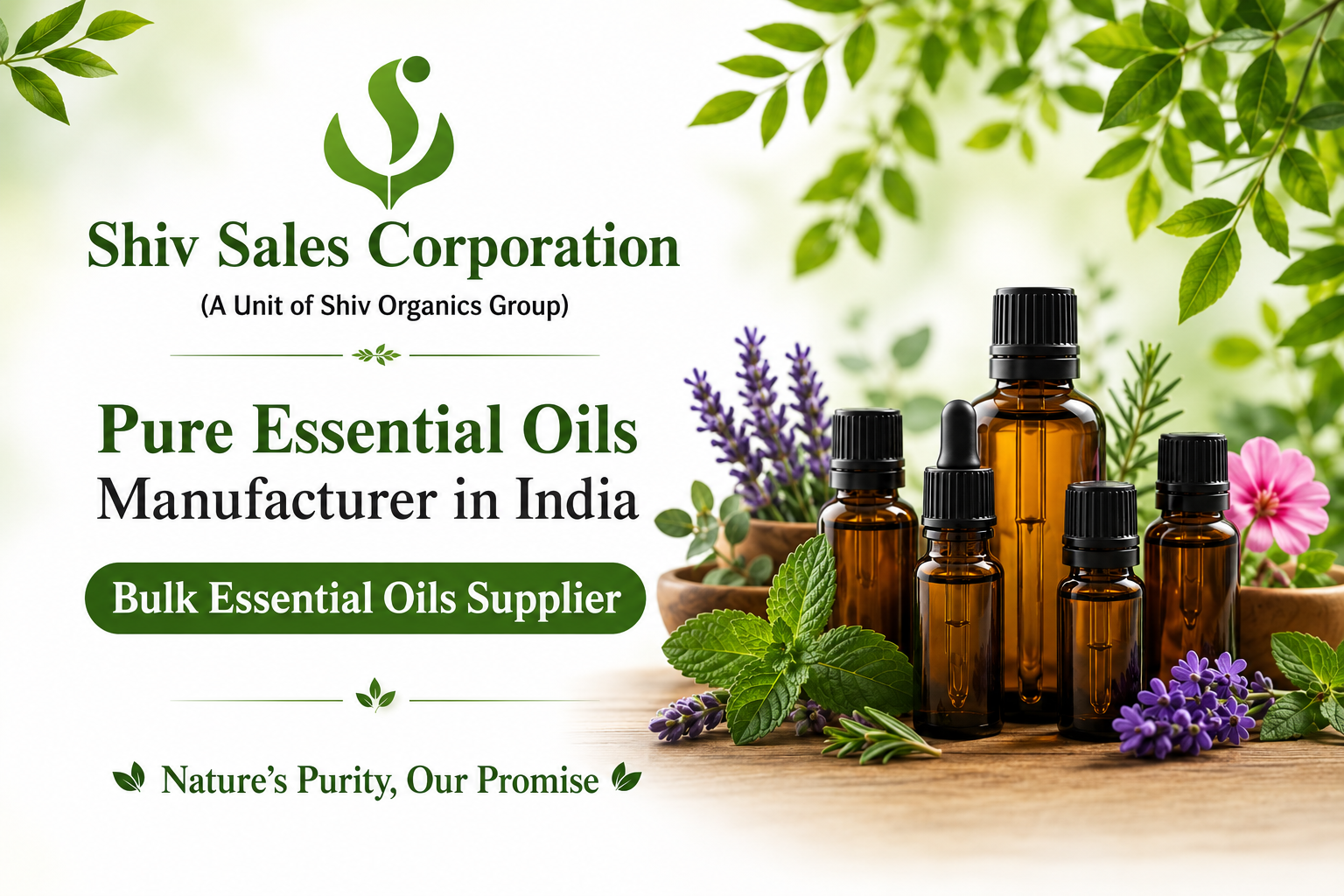 Pure Essential Oils Manufacturer in India | Bulk Essential Oils Supplier for Cosmetics Industry