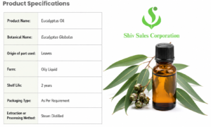 Best Eucalyptus Oil Manufacturer in India